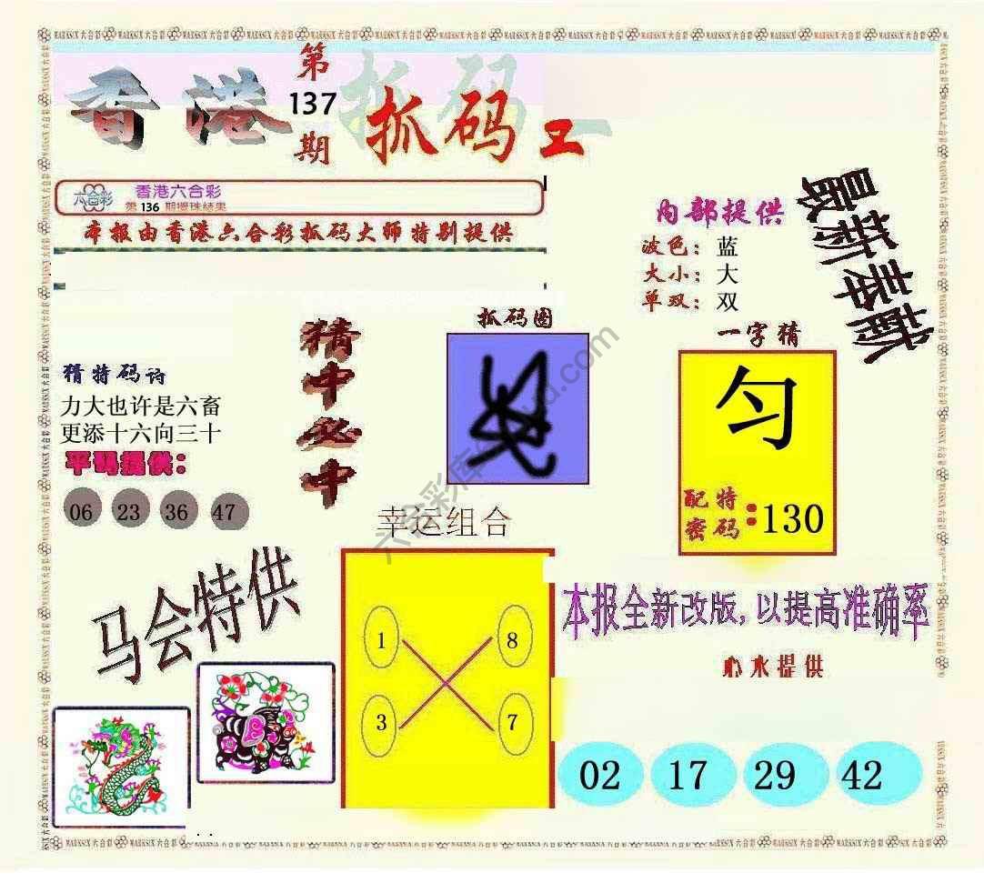 新抓码王