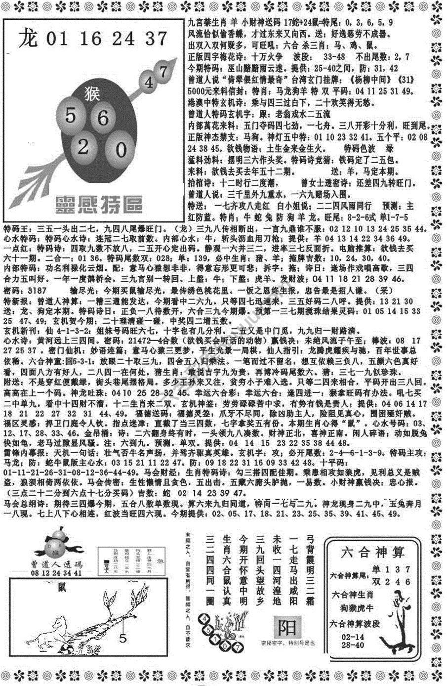 新香港彩霸王