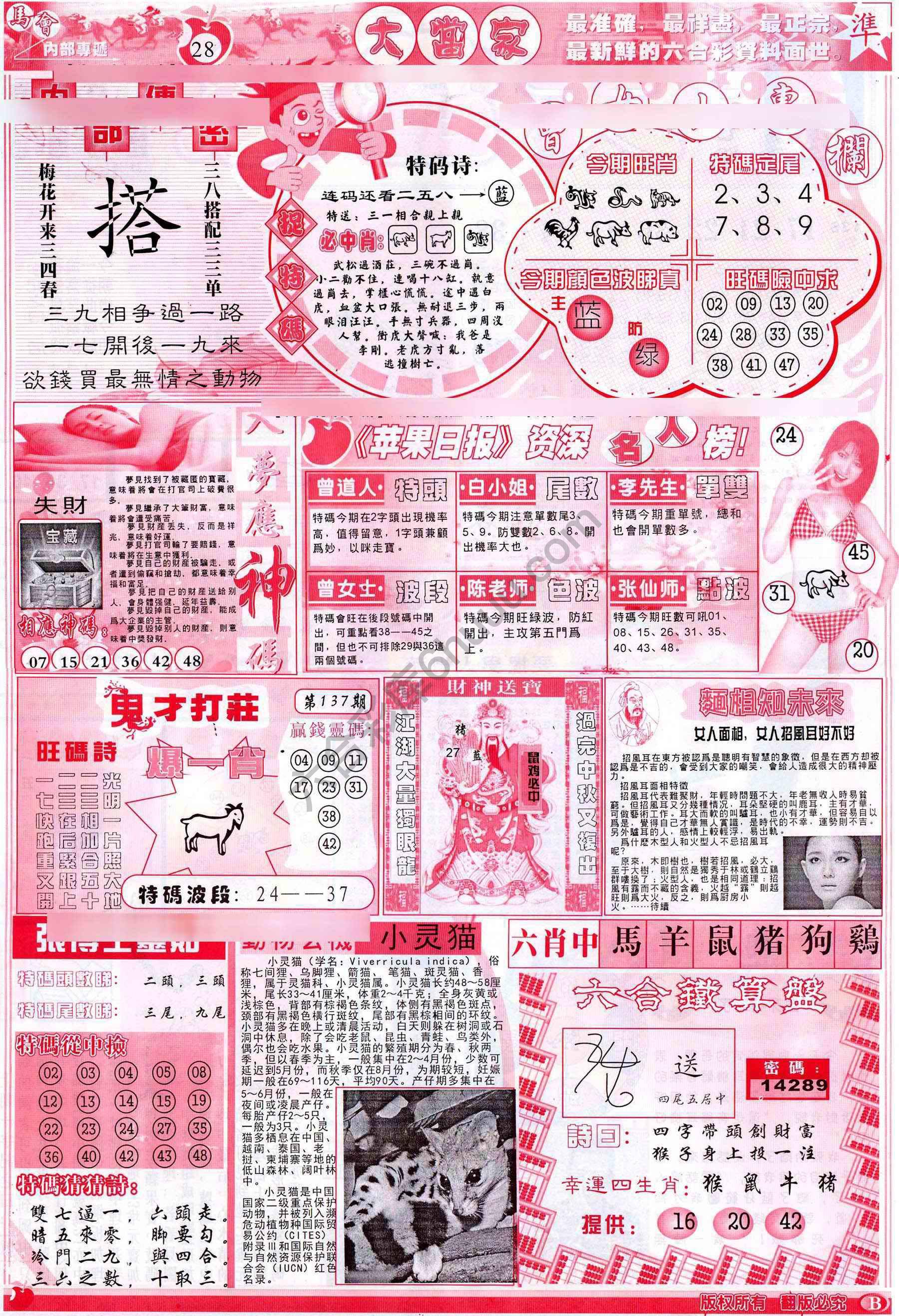 大当家