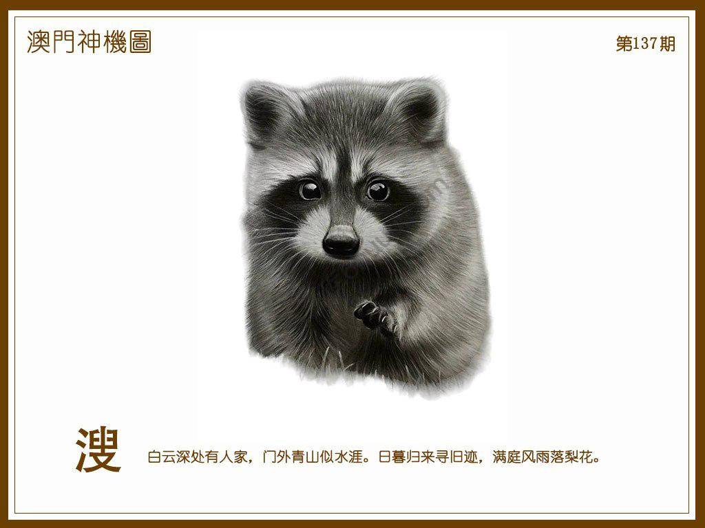 澳门神机图