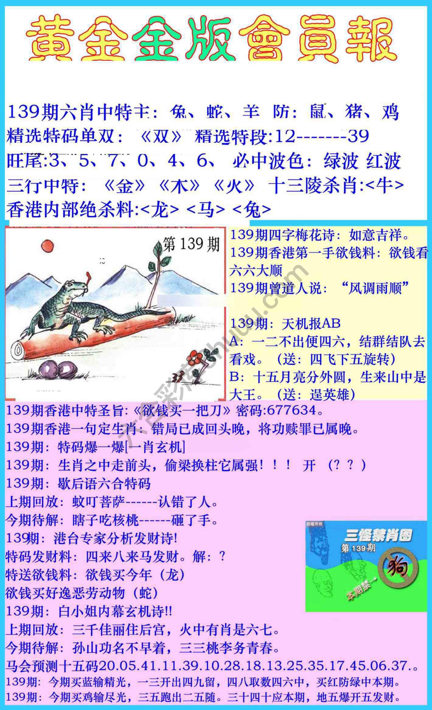 黄金金版会员报