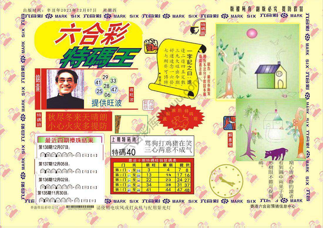 特码王