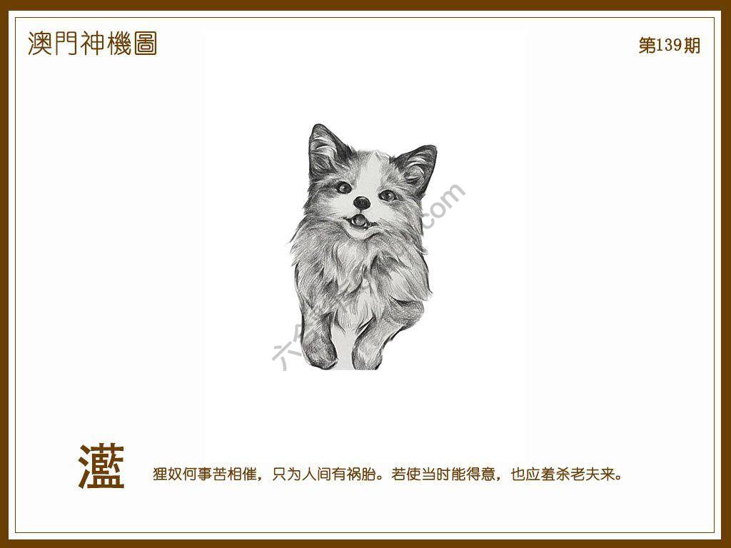 澳门神机图