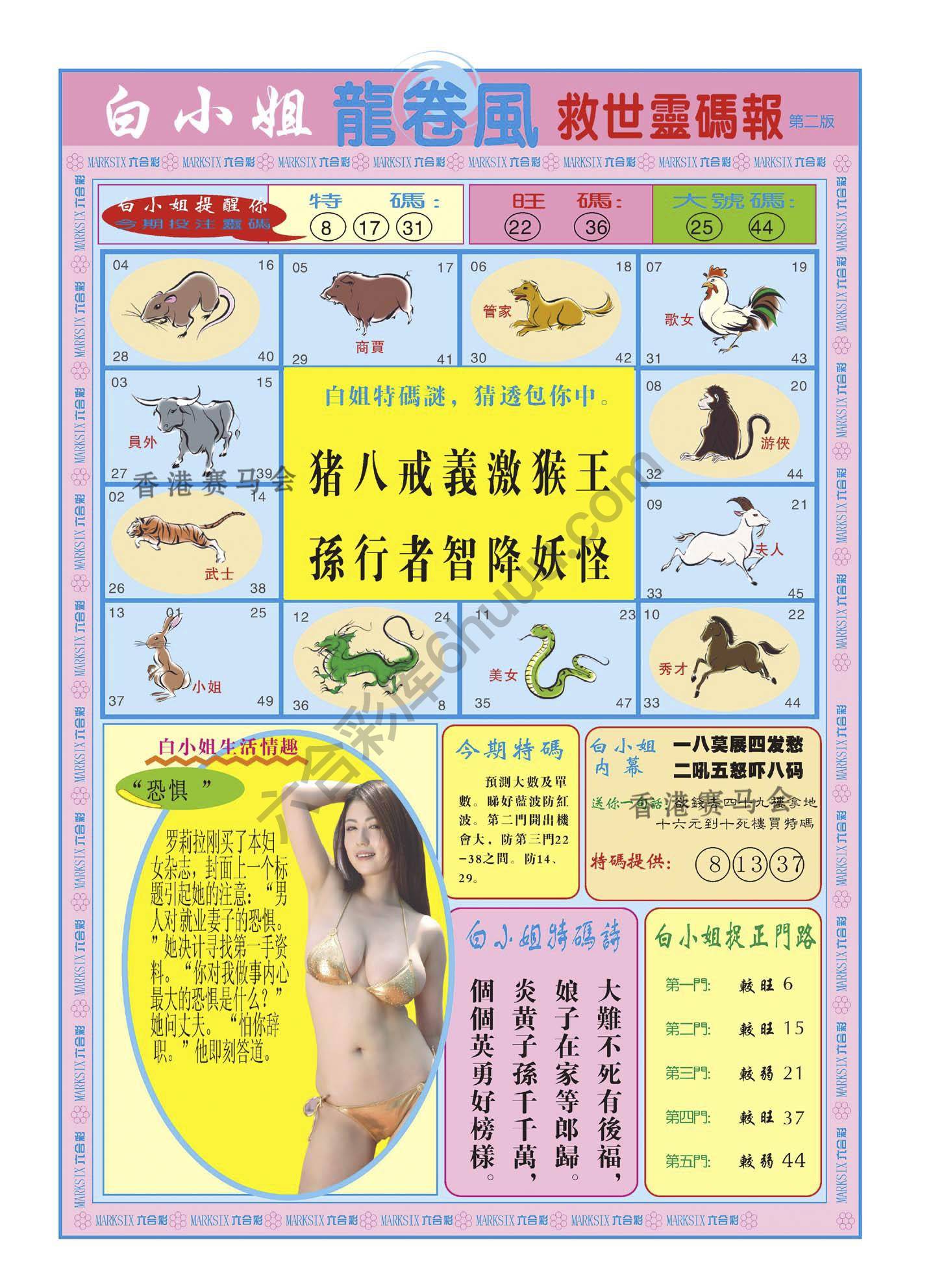 白小姐龙卷风
