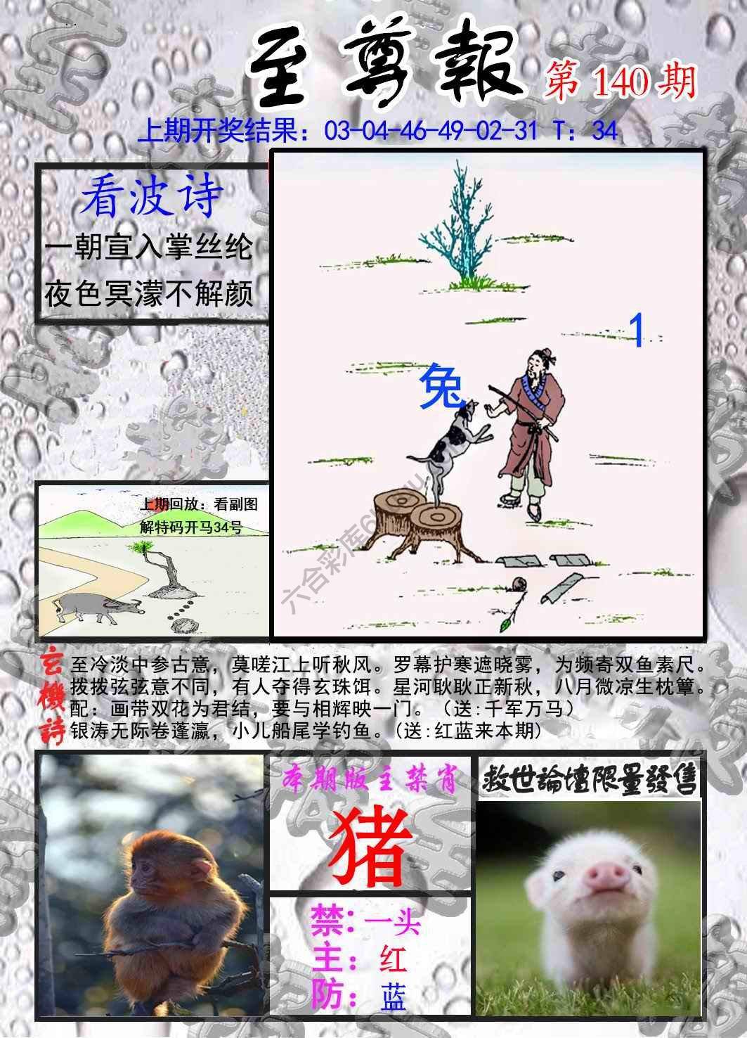 至尊报