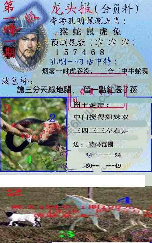 龙头报