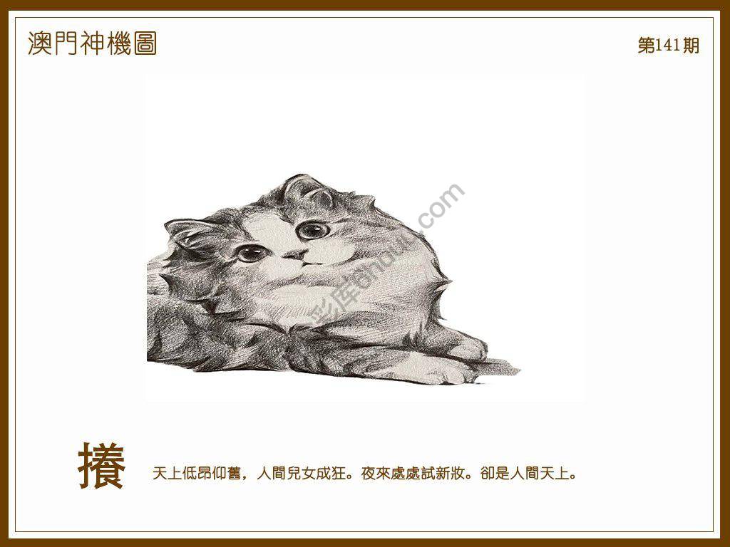 澳门神机图