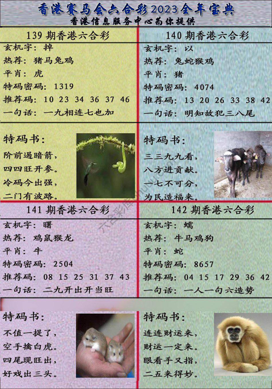宝典报