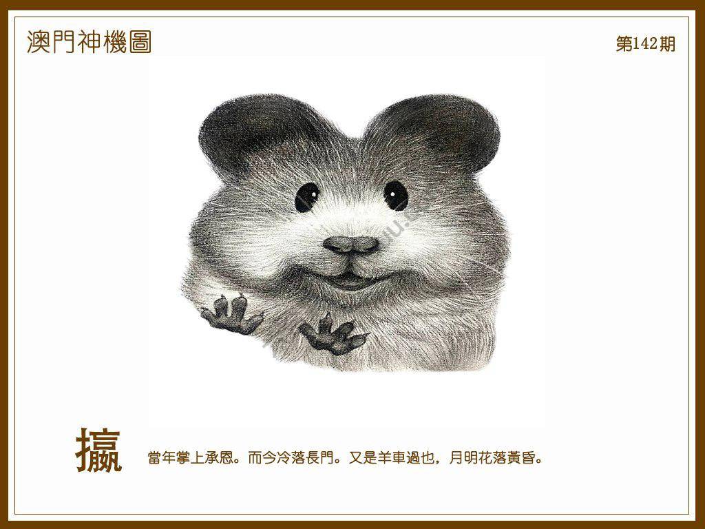 澳门神机图