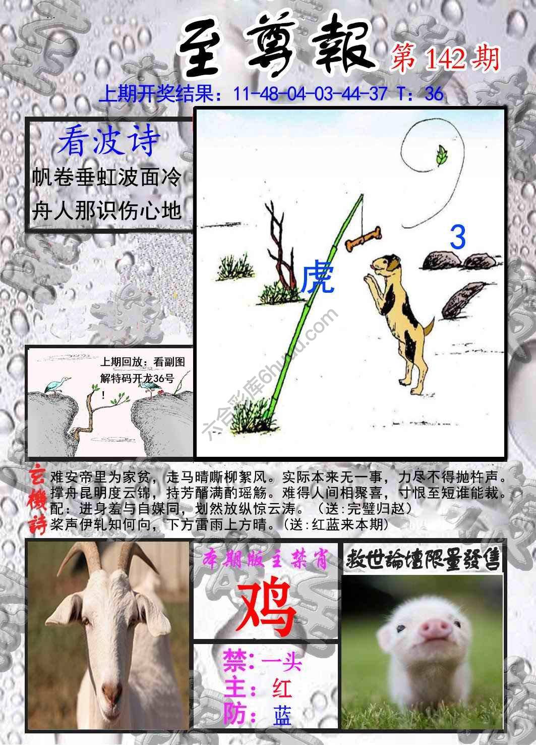 至尊报