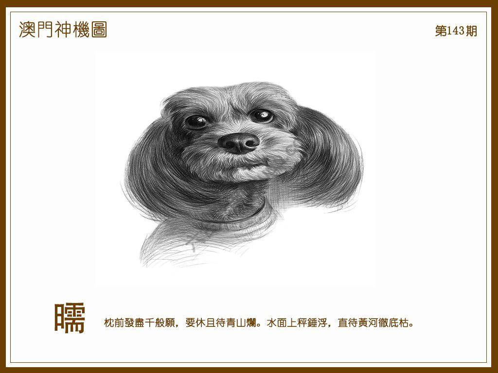 澳门神机图