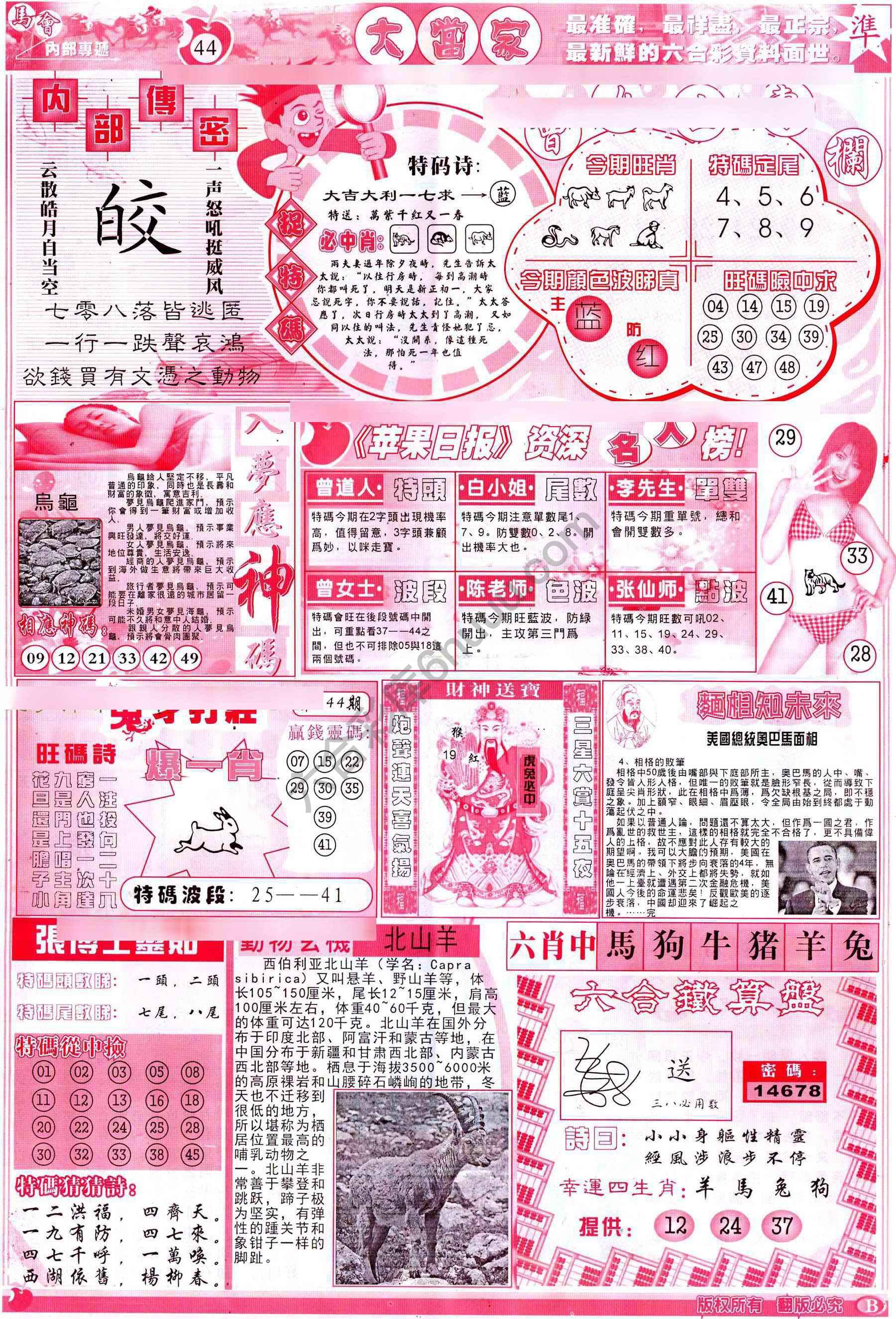 大当家