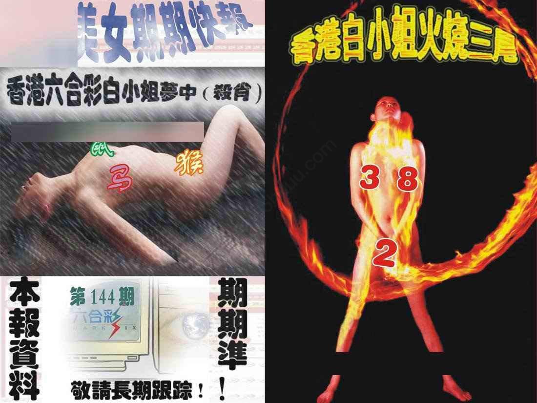 环球美女特码报
