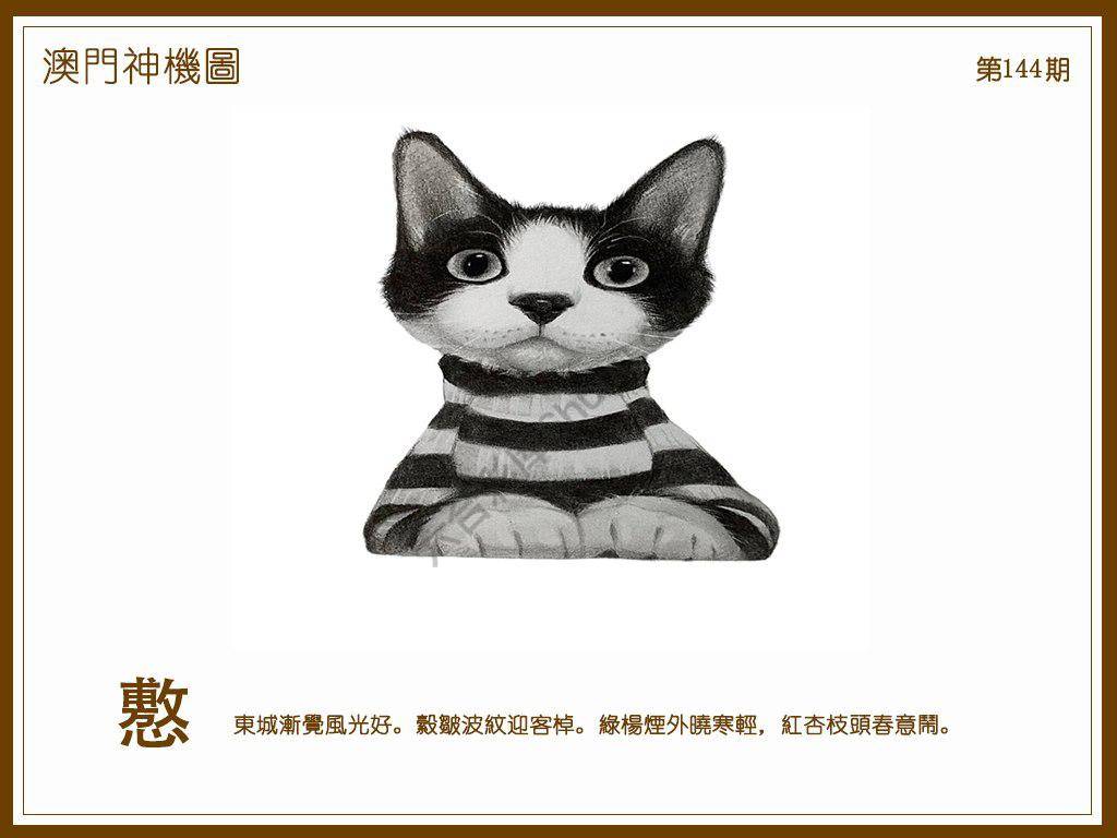澳门神机图