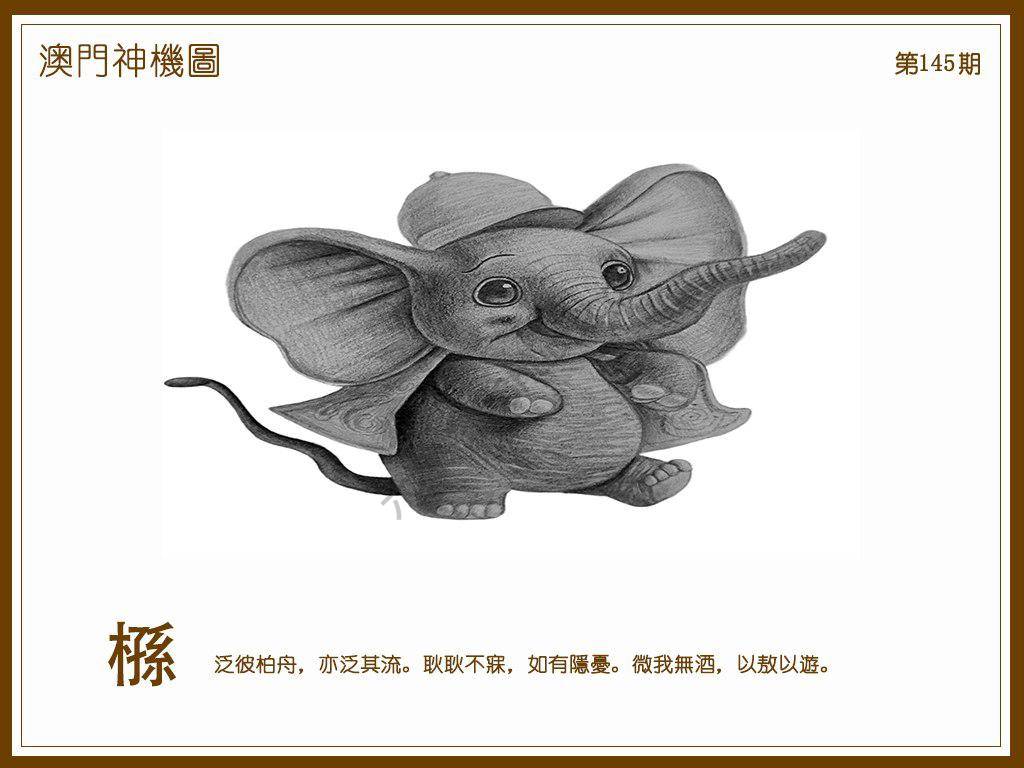 澳门神机图
