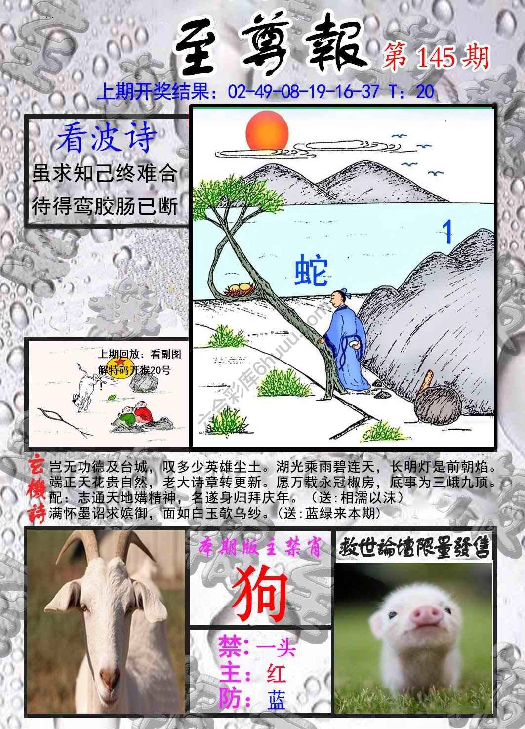 至尊报