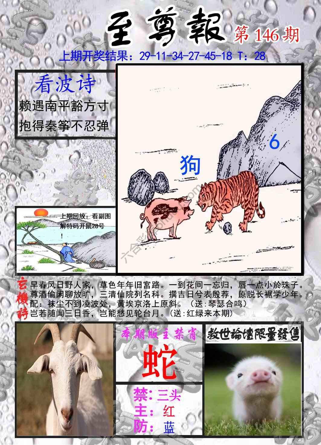 至尊报