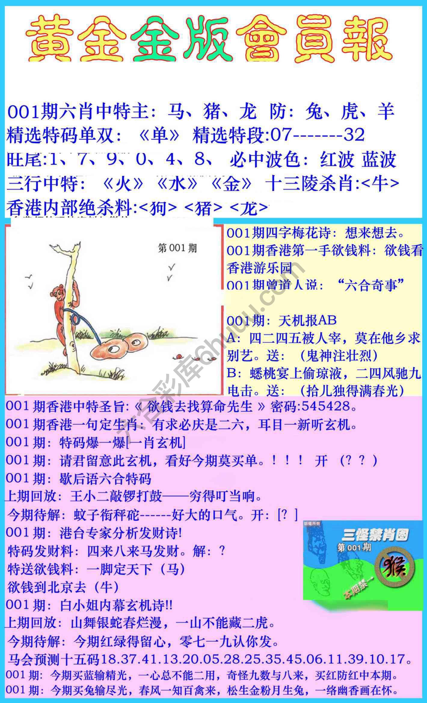 黄金金版会员报