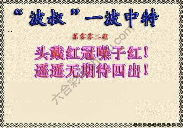 波叔一波中特