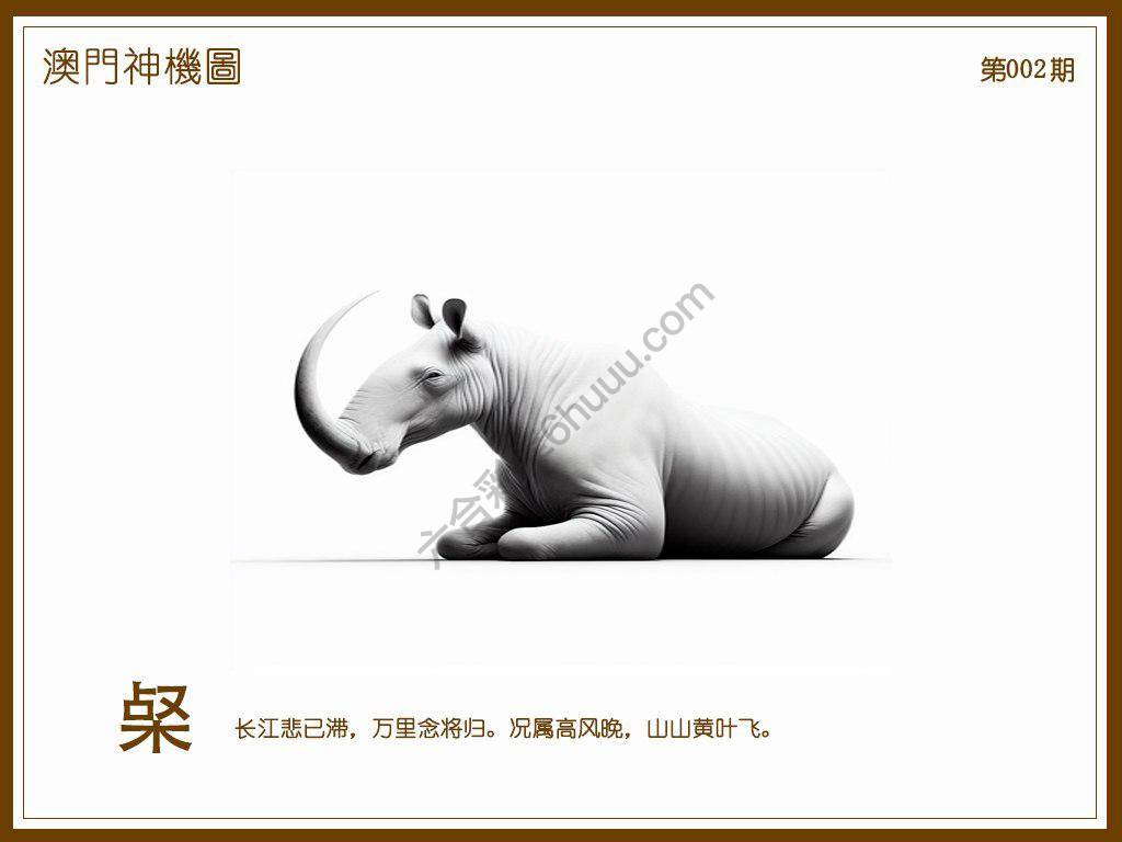 澳门神机图
