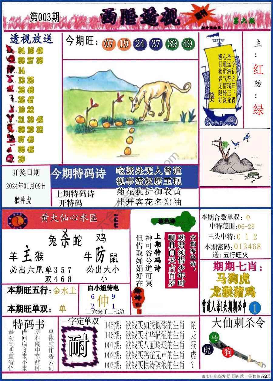 西陲透视（正版）