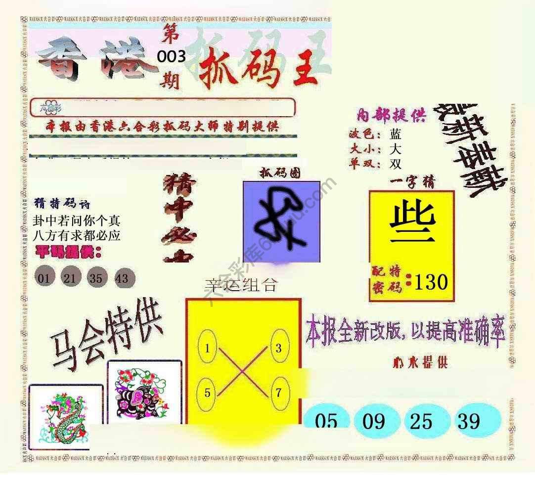 新抓码王