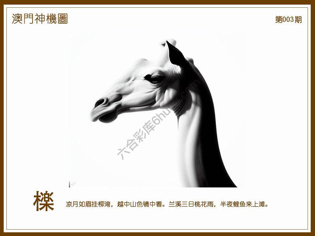 澳门神机图