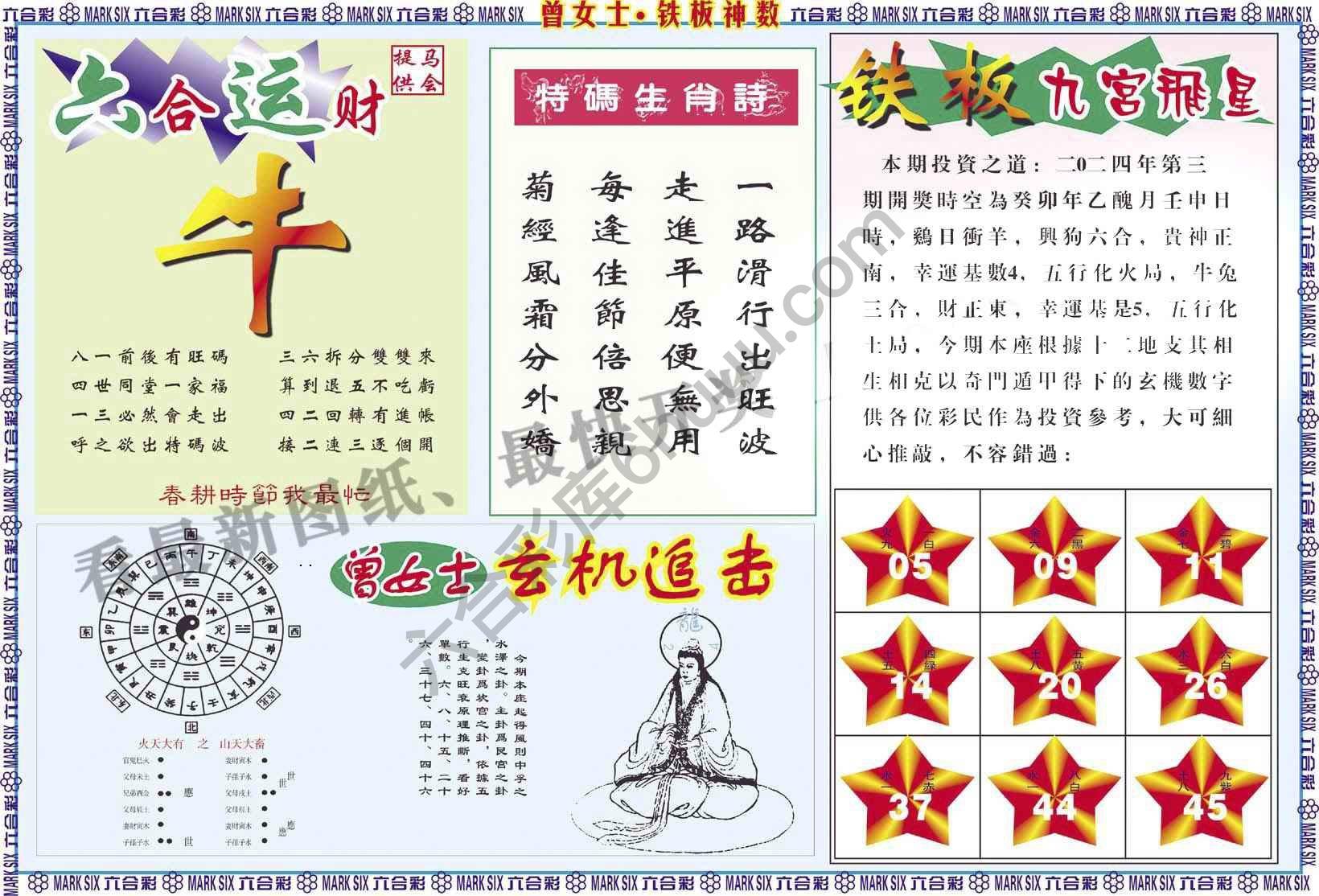 曾女士铁板神数