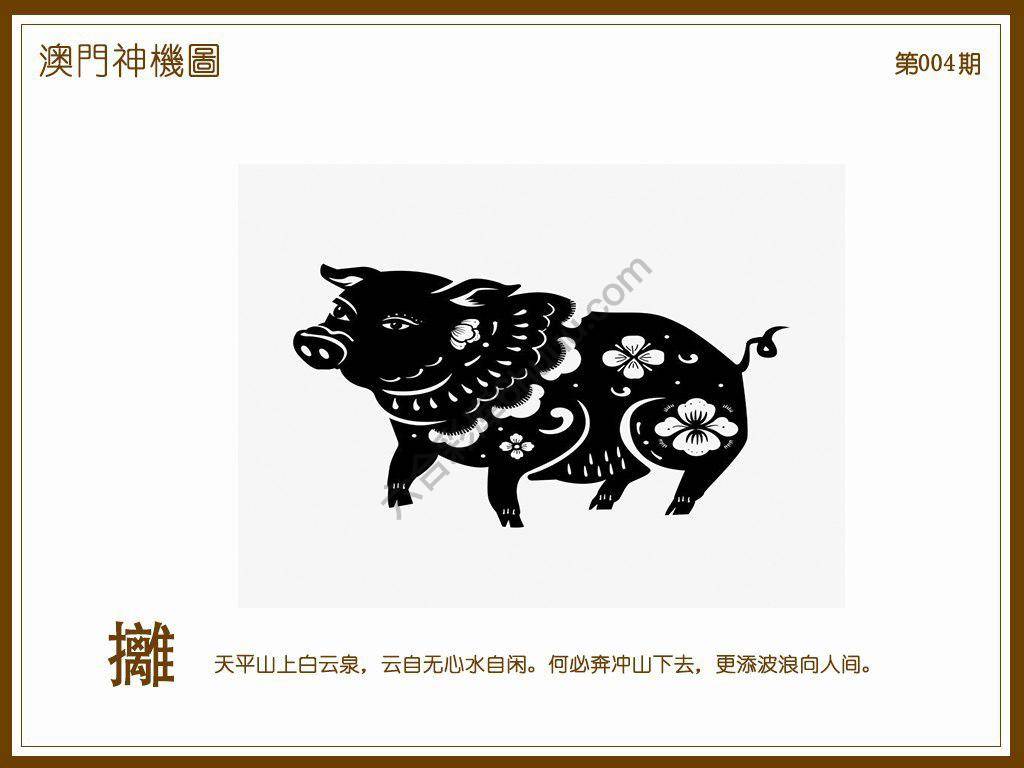 澳门神机图