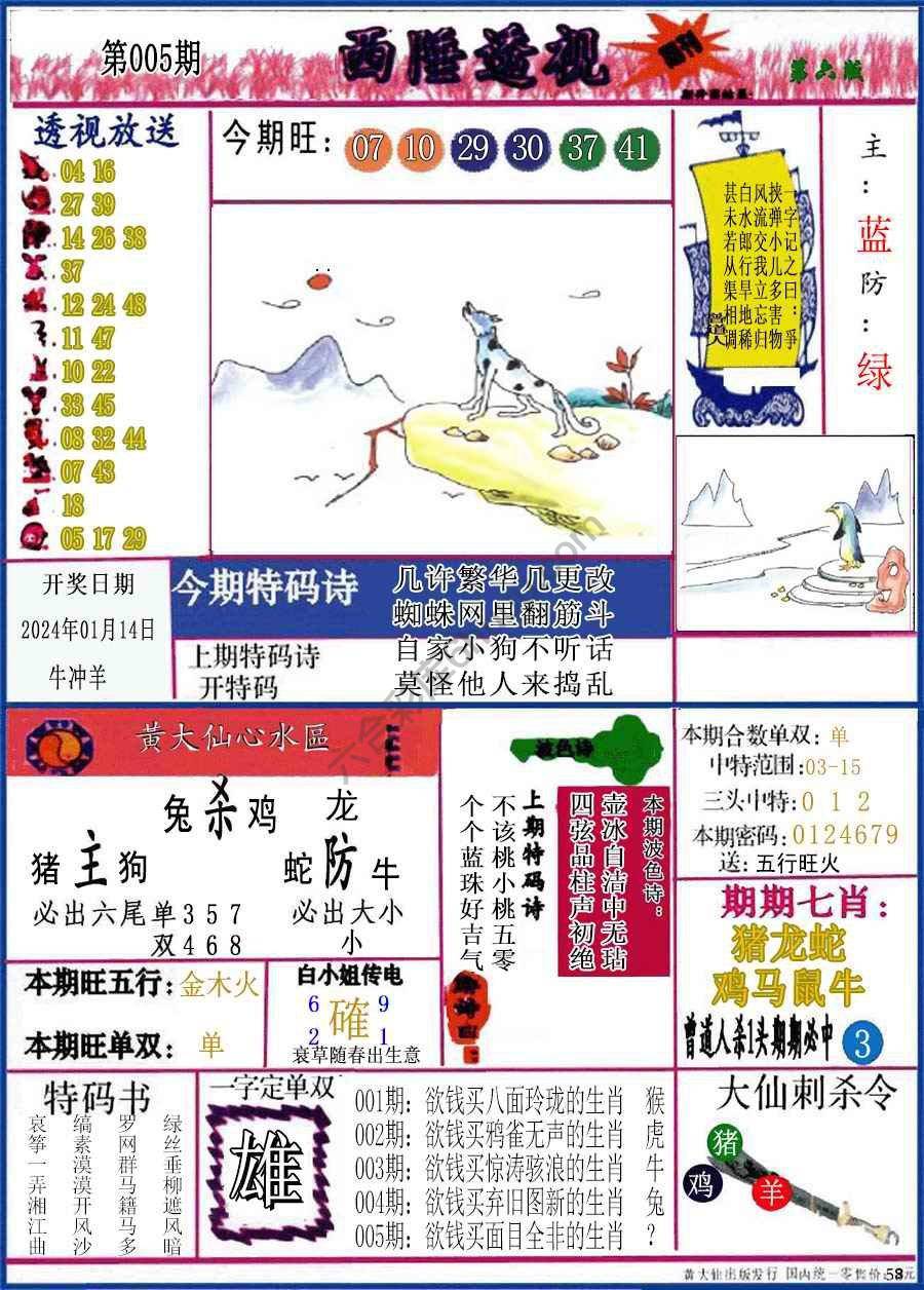 西陲透视（正版）