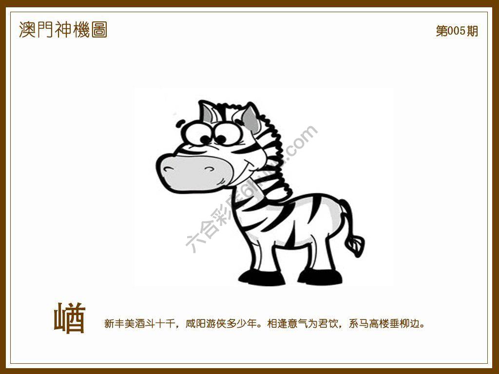 澳门神机图
