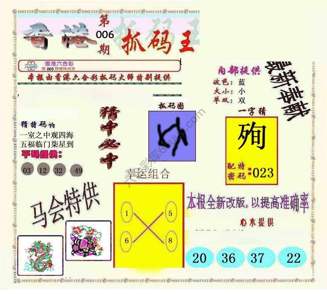新抓码王