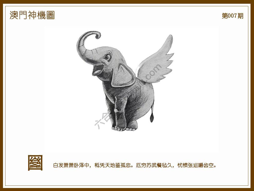 澳门神机图