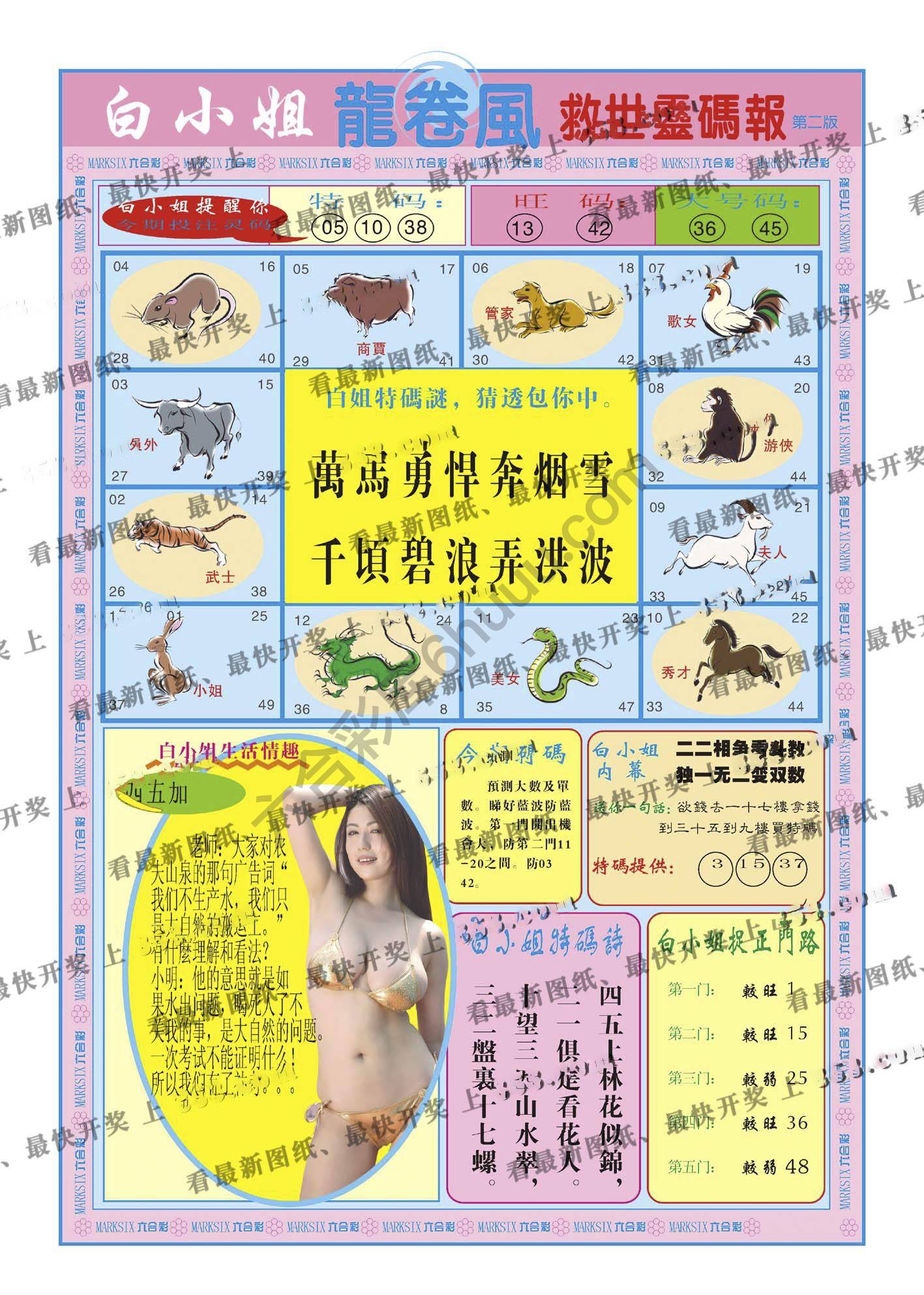 白小姐龙卷风