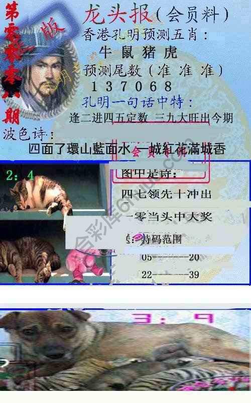 龙头报