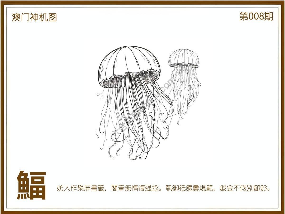 澳门神机图