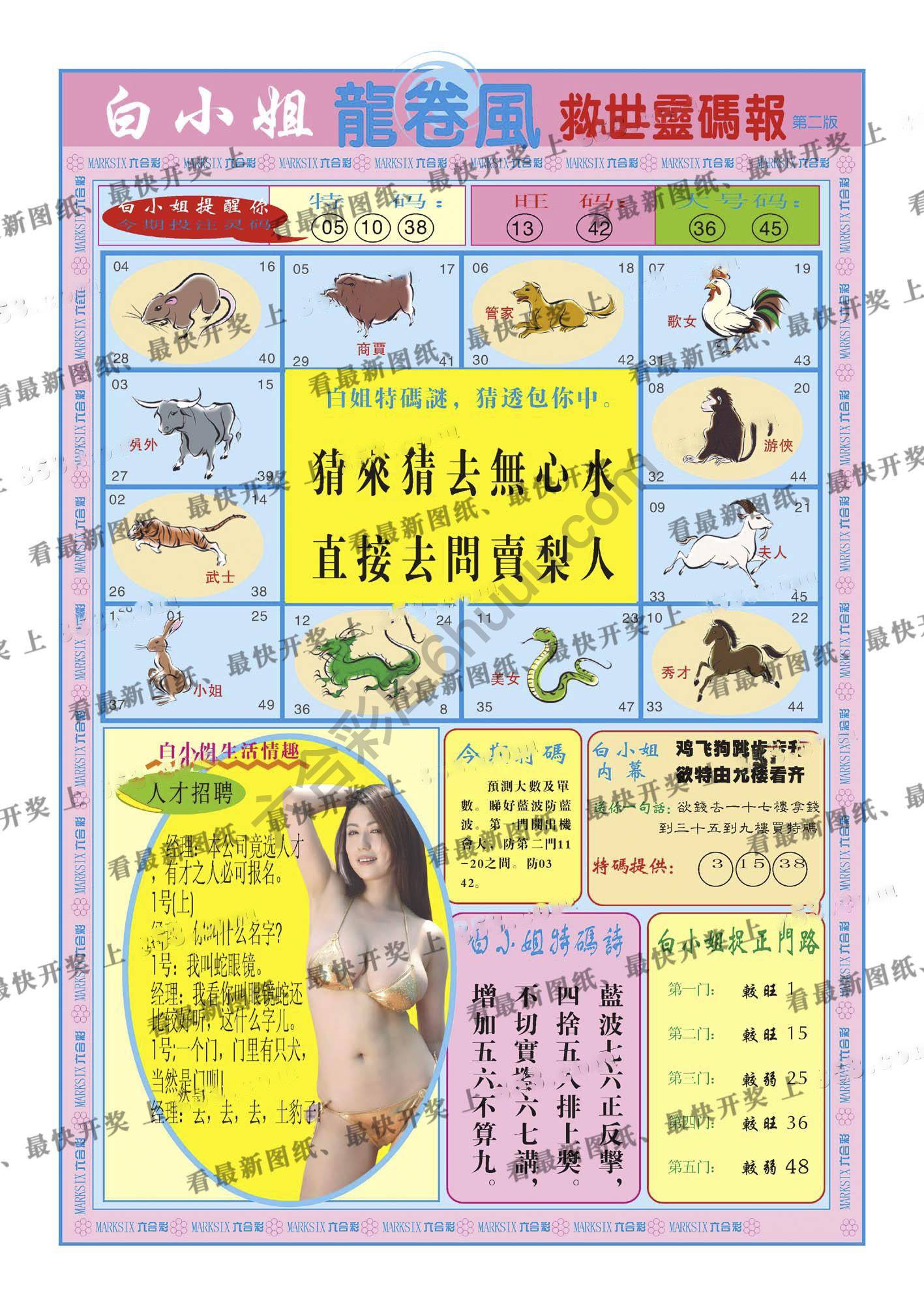 白小姐龙卷风