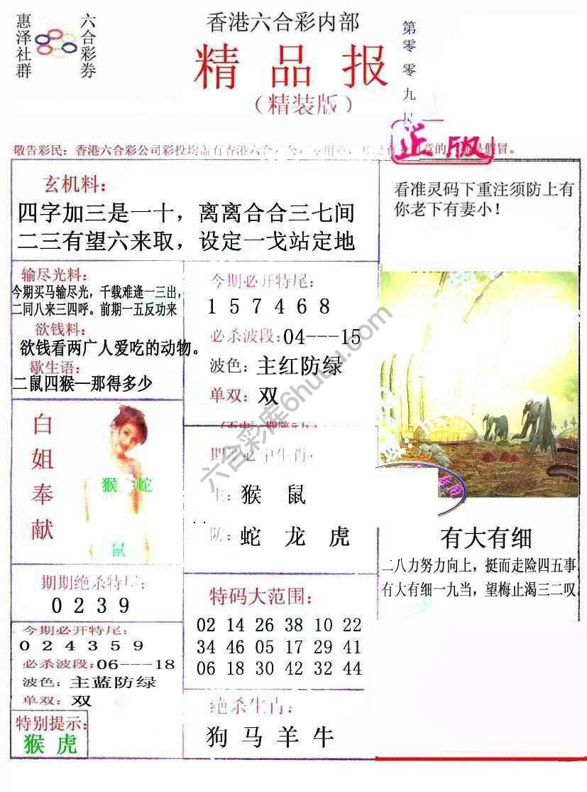 新精品报