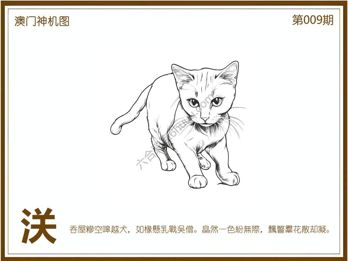 澳门神机图