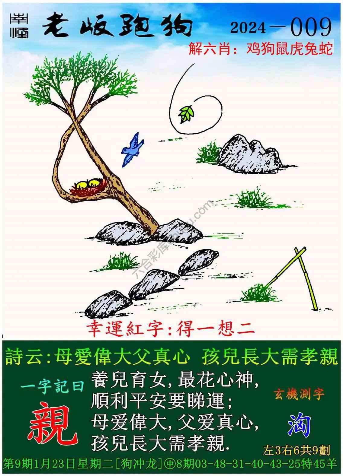 老版跑狗图