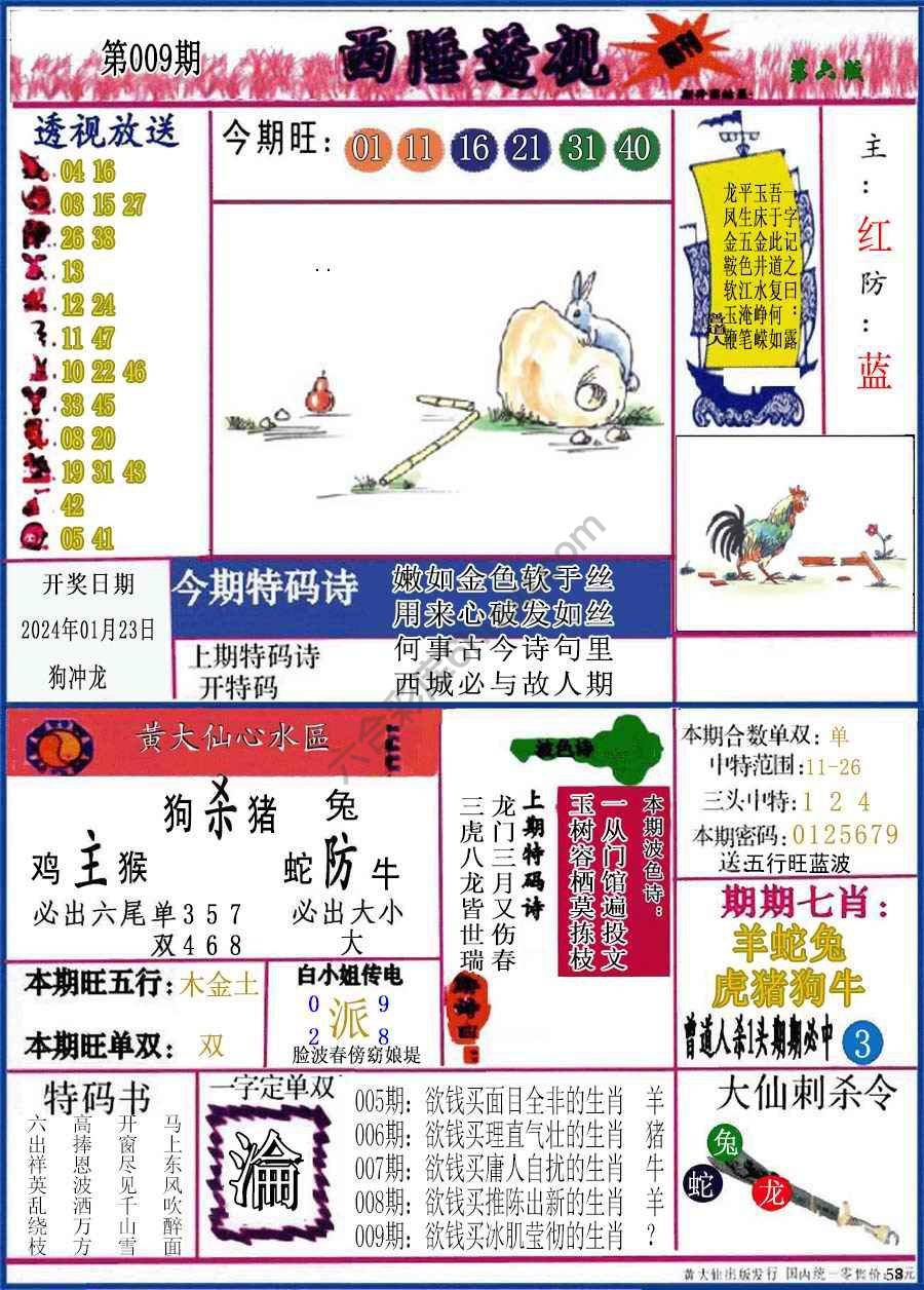 西陲透视（正版）