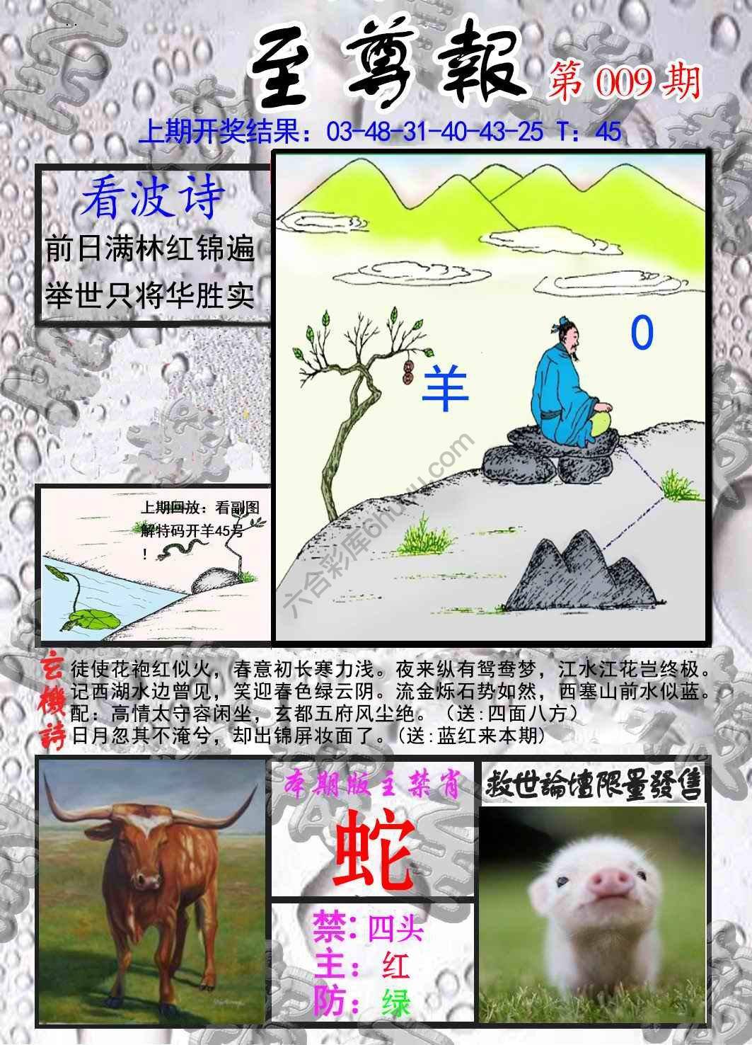至尊报