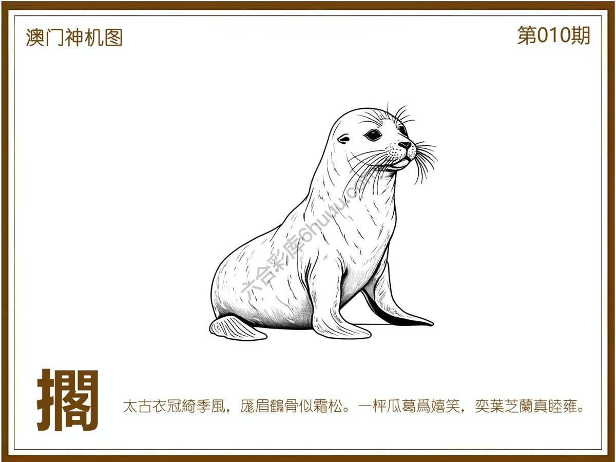 澳门神机图