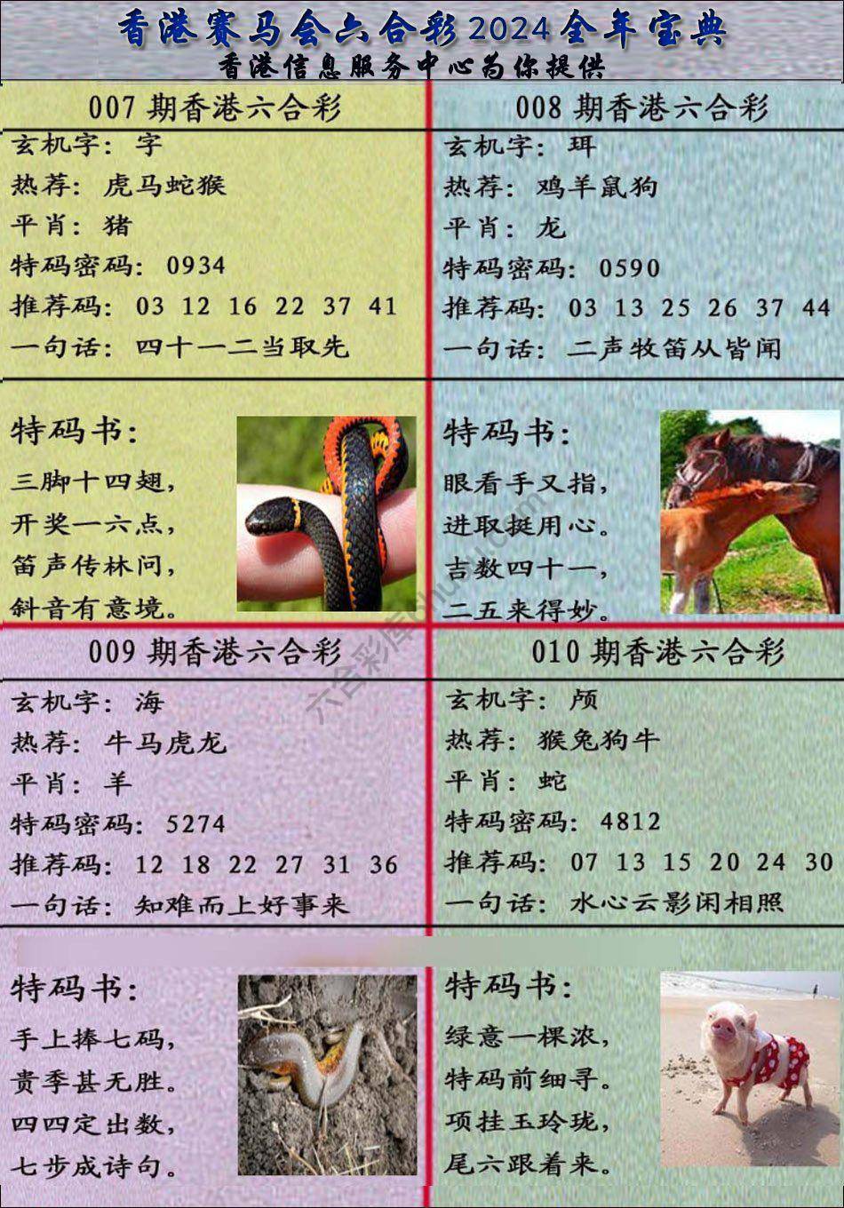 宝典报