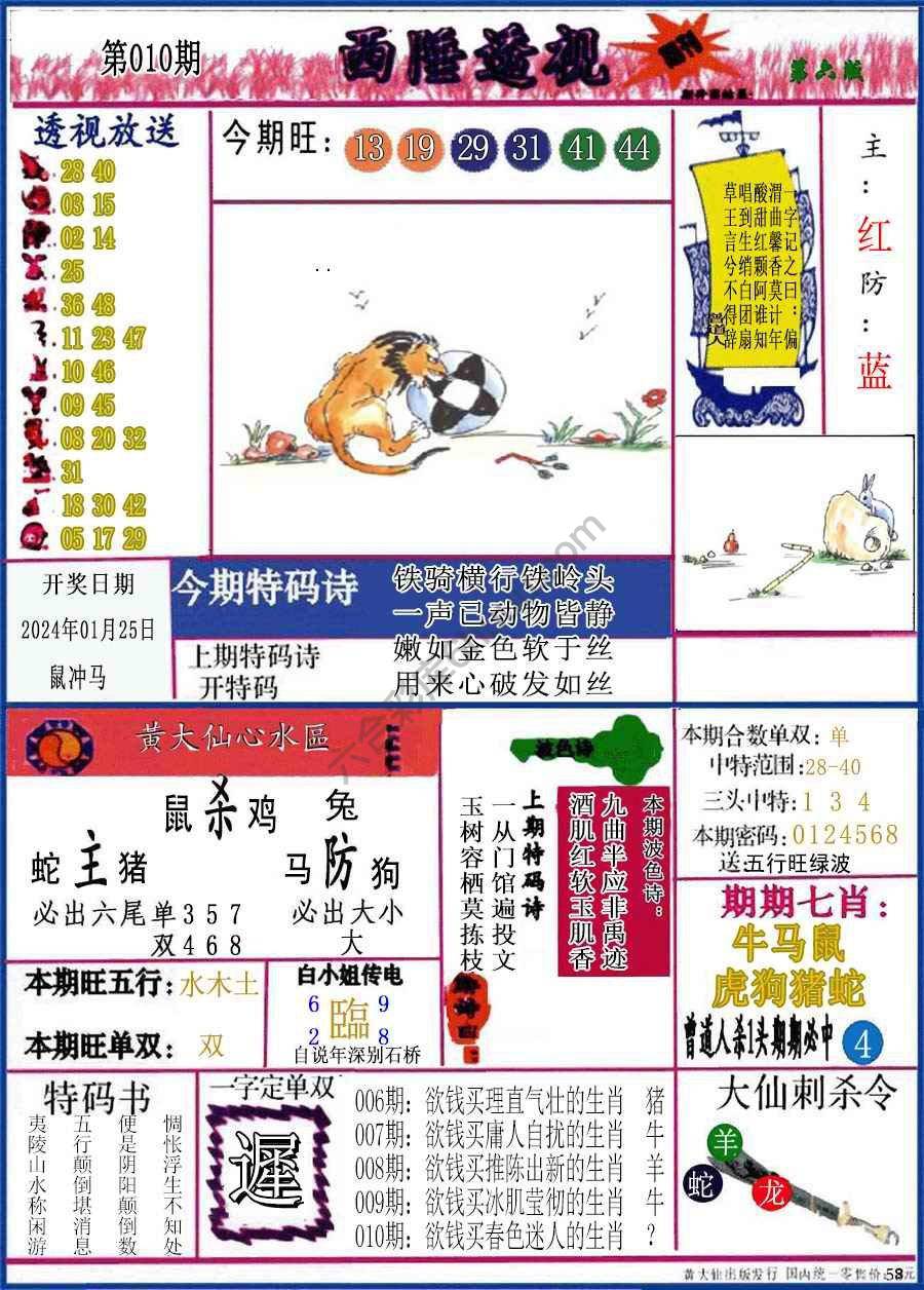 西陲透视（正版）
