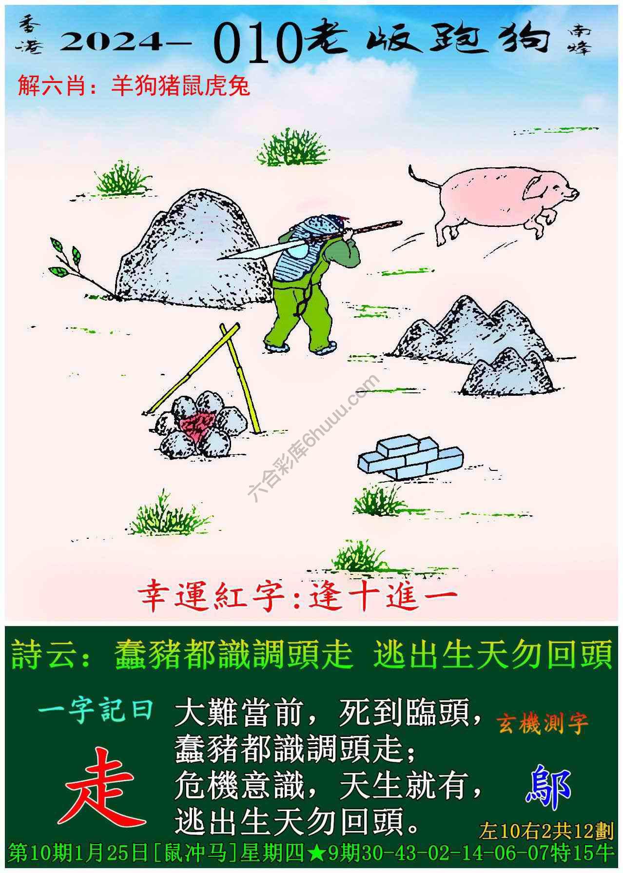 老版跑狗图