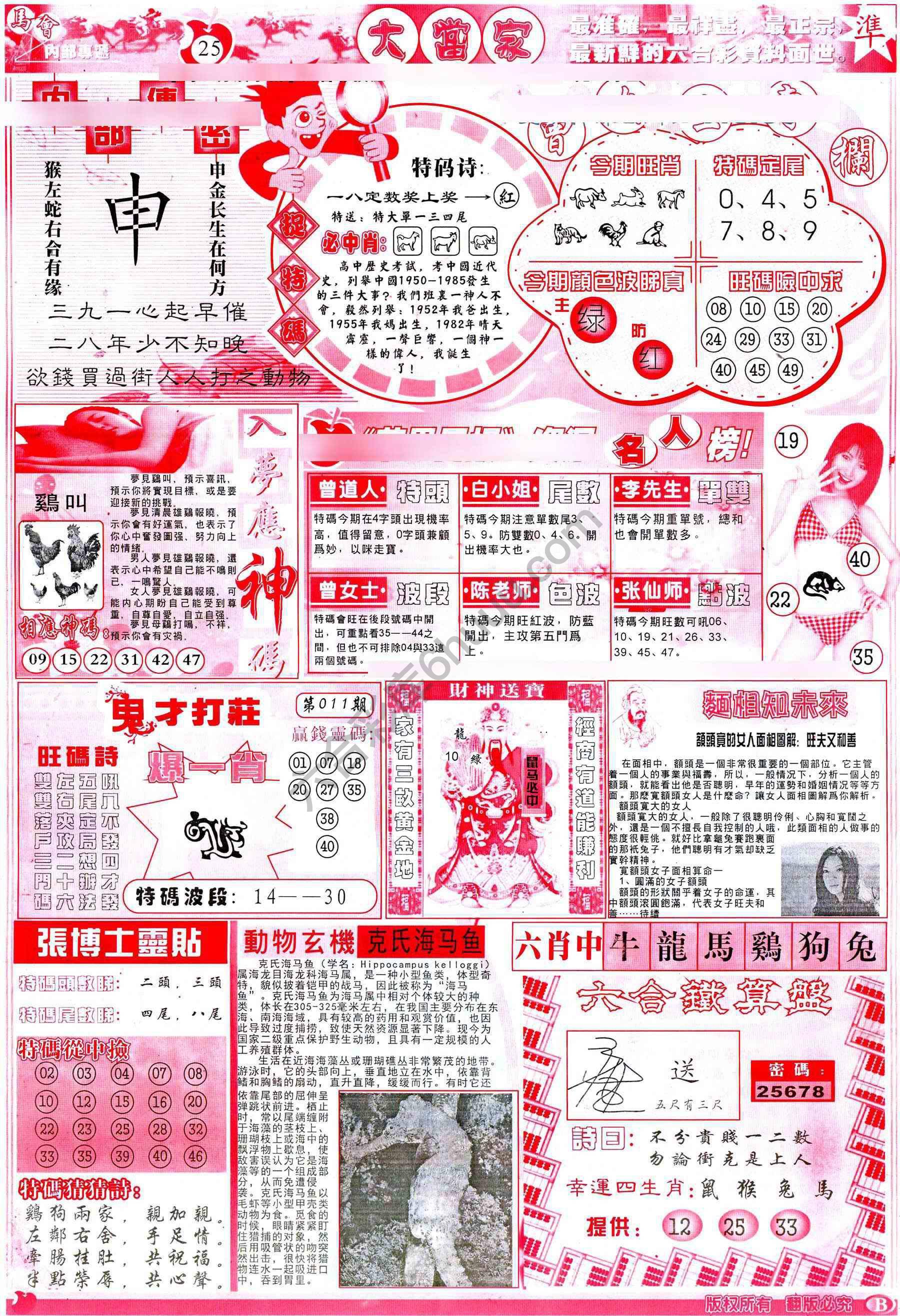 大当家