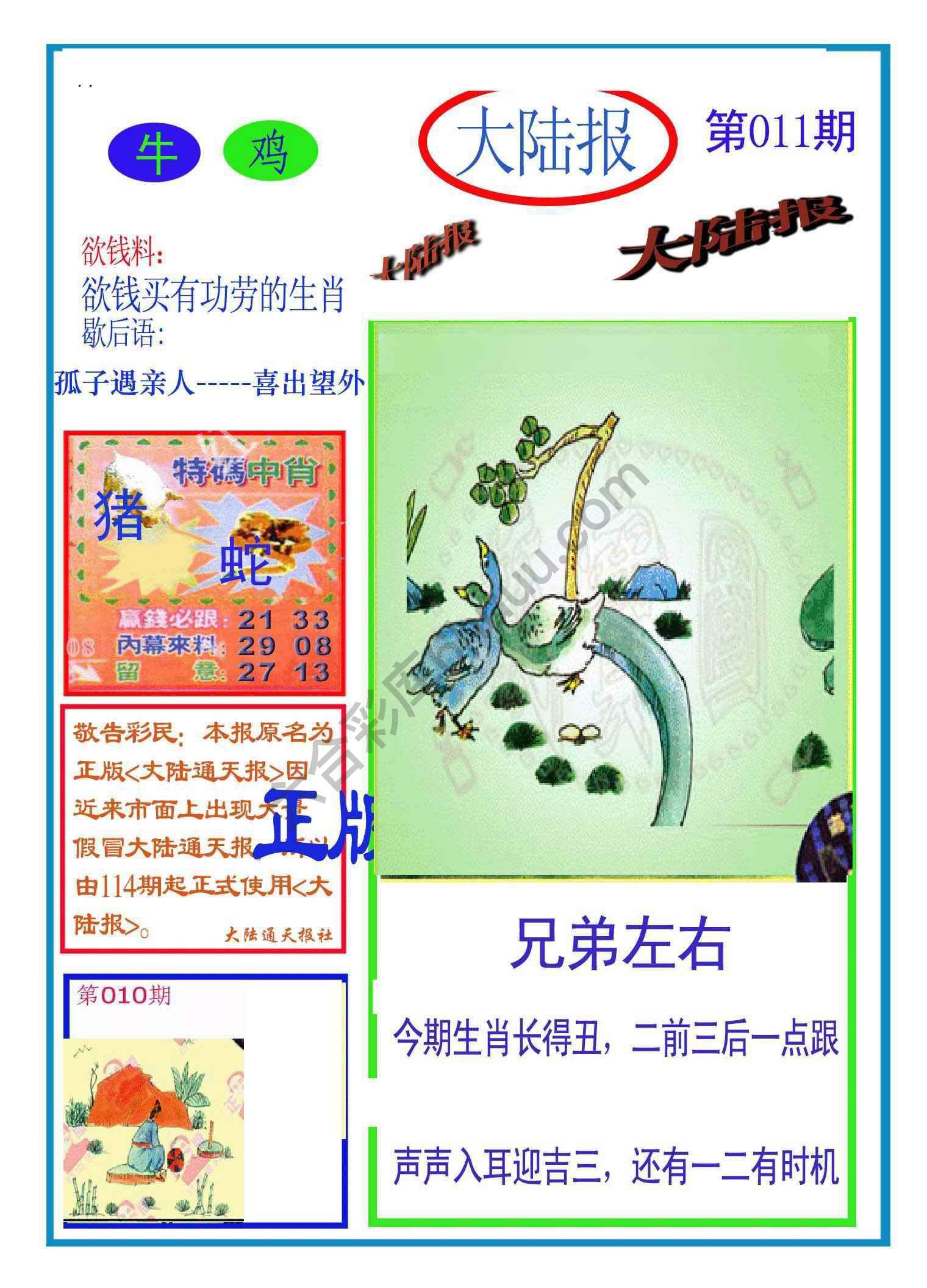 大陆报