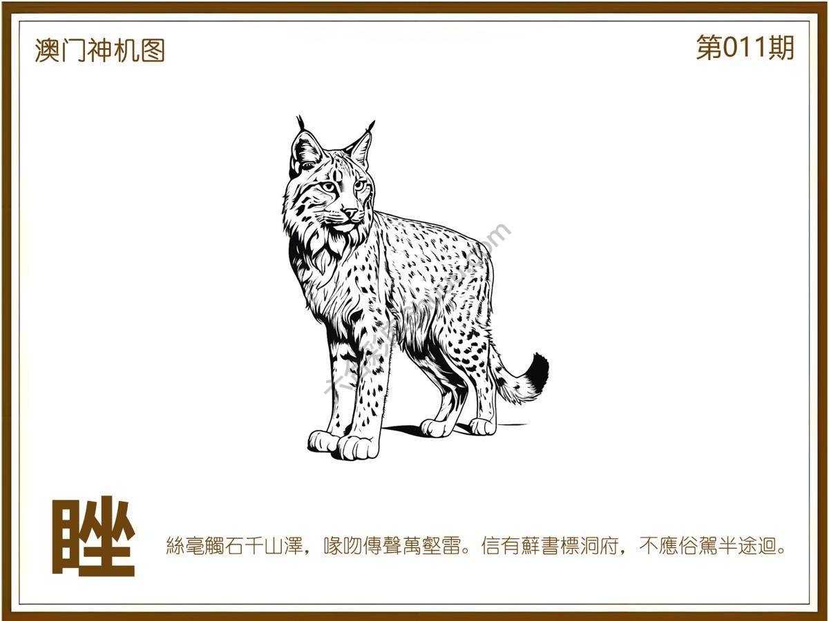 澳门神机图