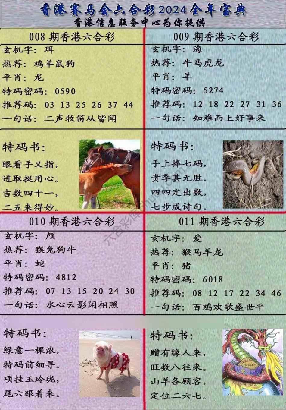 宝典报